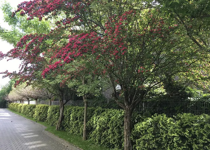 Aparthotel Gosciniec Tombor Katovice